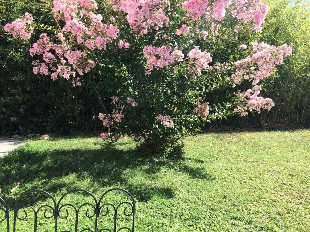 Cottage La Villa Bolero 卢瓦尔河畔圣西 外观 照片